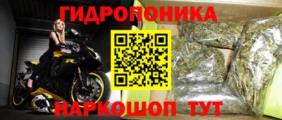 прущая мука Лесосибирск