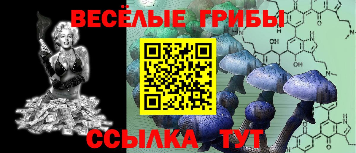 Зеленокумск  Псилоцибиновые грибы Psilocybe  Вход с VPN 