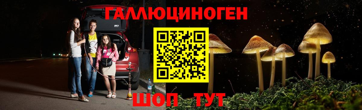 Псилоцибиновые грибы Cubensis Зеленокумск